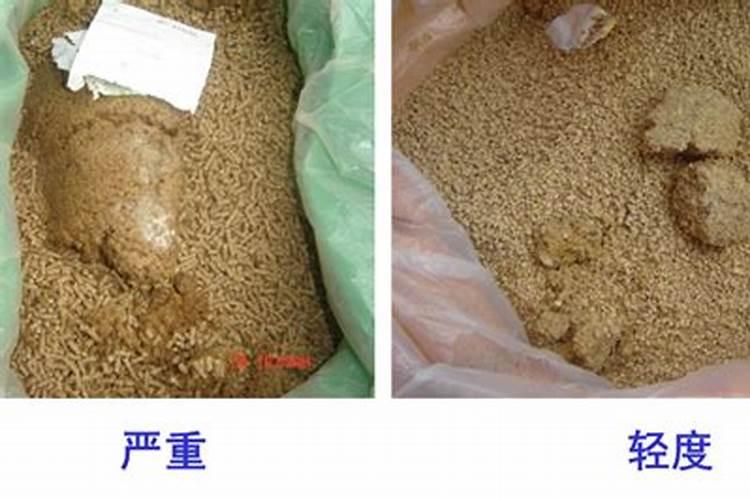 大豆开花期打什么叶面肥好 大豆用什么肥