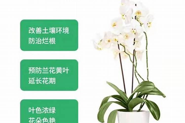 盘锦市工厂