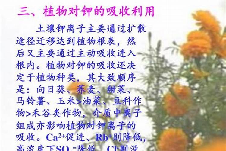 钾肥对作物有什么影响