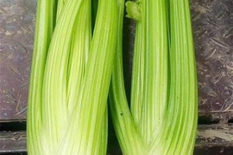 芹菜怎么种,种植技术,种植时间,怎么施肥,施什么肥