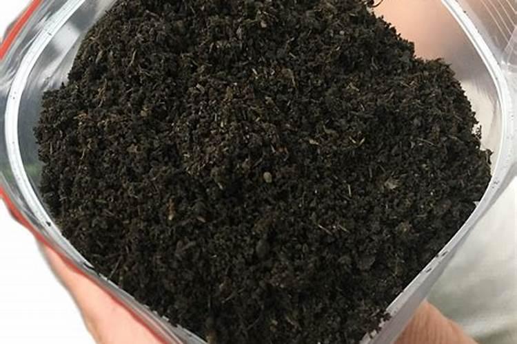 玉米什么时间进行第二次施肥？需要注意什么问题？