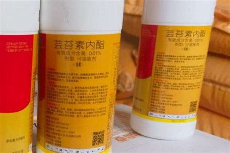 西红柿怎么冲施化肥