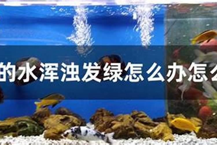 煮巴沙鱼有泡沫怎么办？