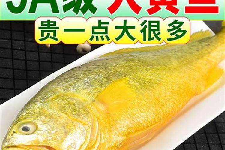 鱼蛋白概念股有哪些(开心模拟炒股)？鱼蛋白概念股名单
