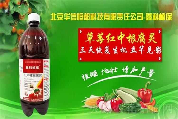 流体硼最佳搭配方法