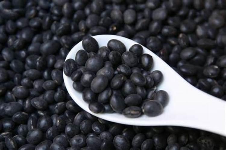 黑豆泡水里3个月后用黑豆当肥料上花可以吗？