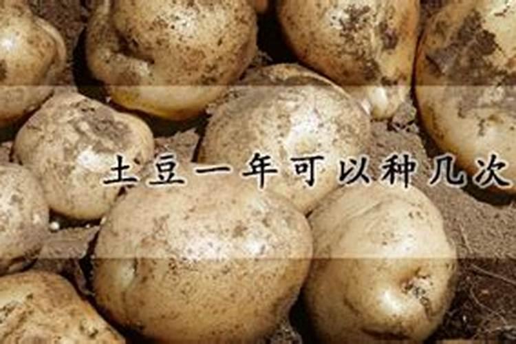 想要土豆高产该如何施肥 使用什么肥料好