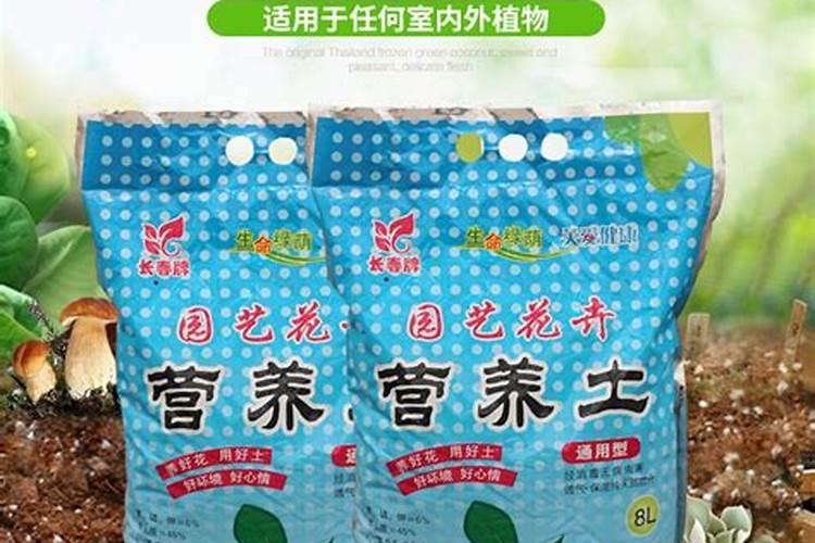 康乃馨用什么肥料,康乃馨肥料推荐(康乃馨营养液)