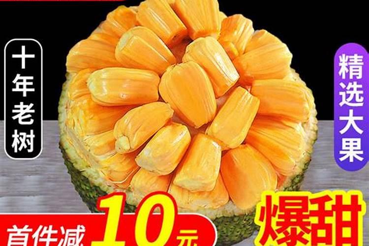 国光松尔肥多少钱