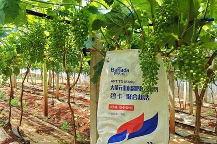 悬浮型大量元素水溶肥(德国EDENN螯合技术生产)