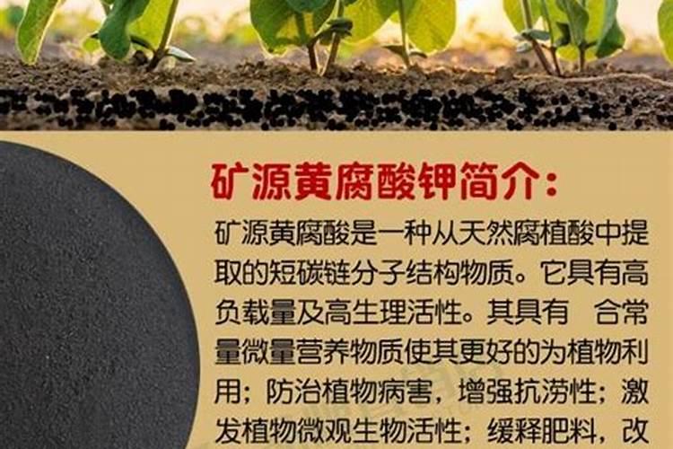 矿源黄腐酸钾的混施禁忌 黄腐酸钾是什么东西