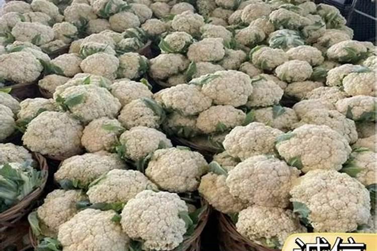 花椰菜不能用什么化肥