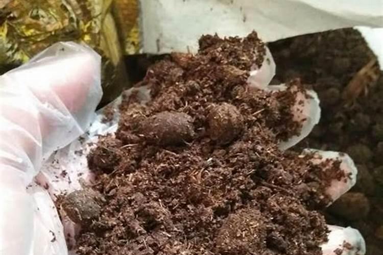 动物粪便哪种更接近磷肥
