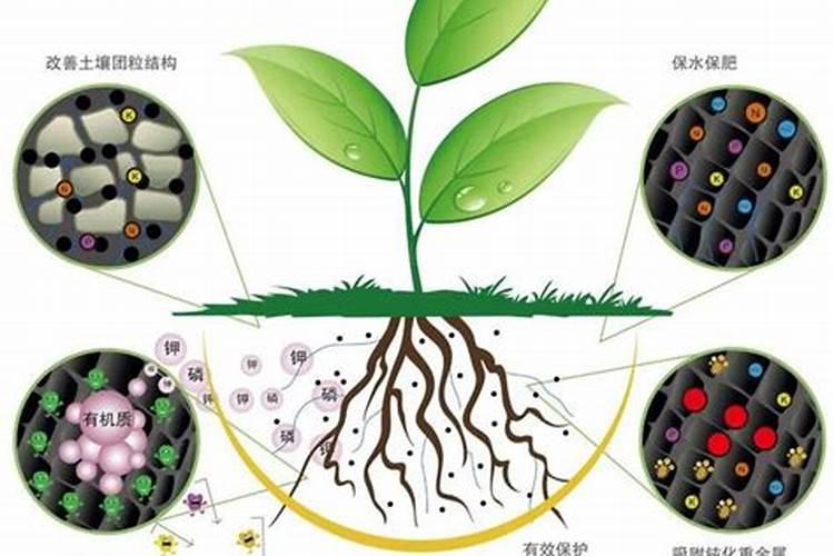 钙肥能与大量元素水溶肥同时冲施吗