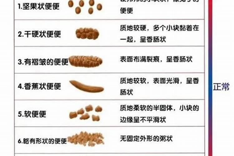 柿子吃多了会有什么伤害？