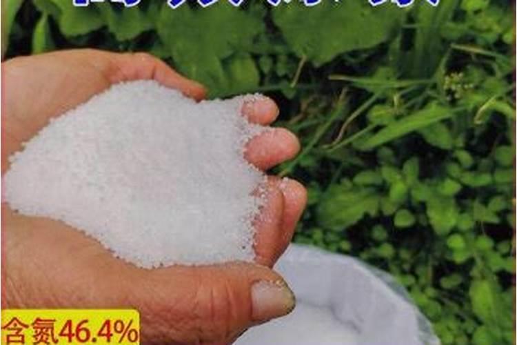 多少尿素兑多少水浇蔬菜比较好？
