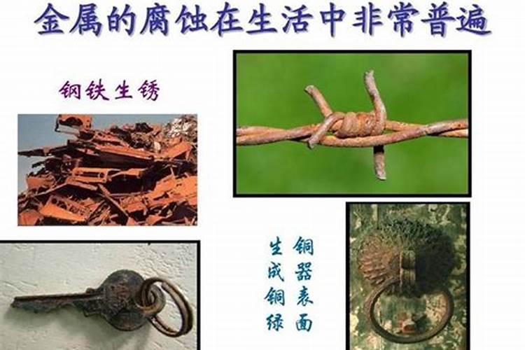 氮肥,磷肥,钾肥分别起什么作用
