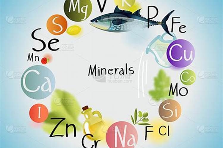 元素和矿质元素的区别