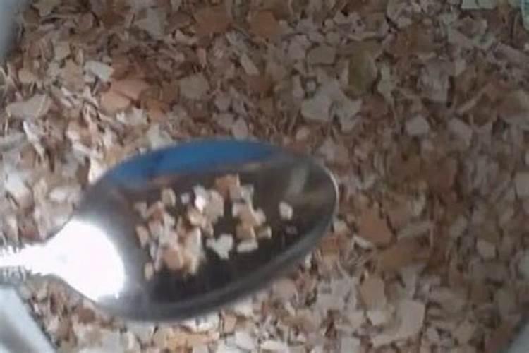 发酵水果皮属于氮肥吗