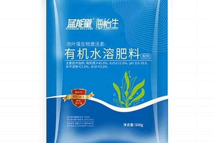 如何正确给玉兰施肥？