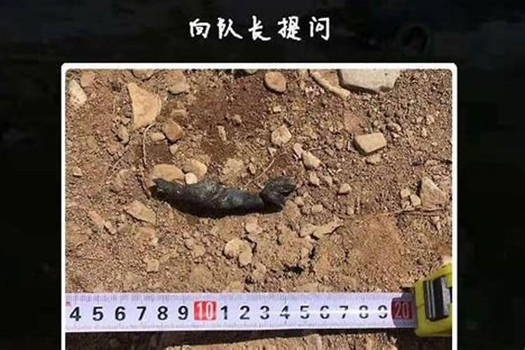 人畜的粪 是哪种肥？ 是 氮肥？是磷肥？还是 钾肥？