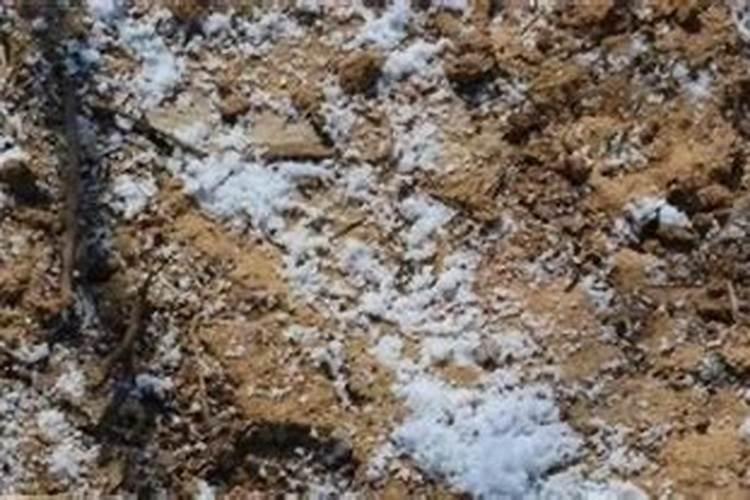 有哪些常见的农用化学品在土壤中残留并对土壤生物产生负面影响百度...