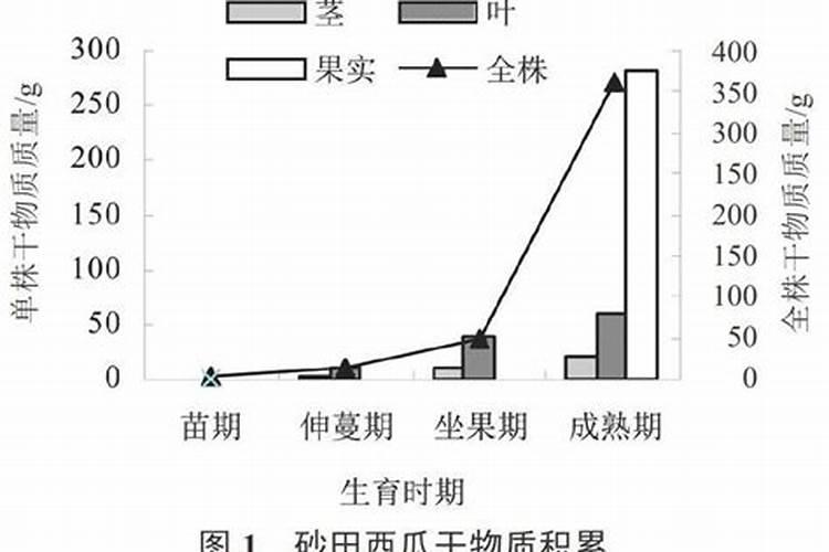 西瓜还有十天左右成熟可以施肥吗？