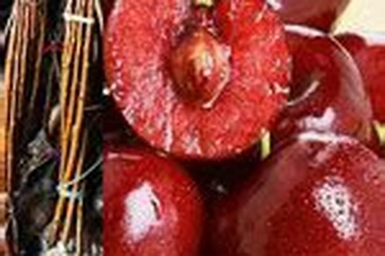 膨果肥名字有哪些