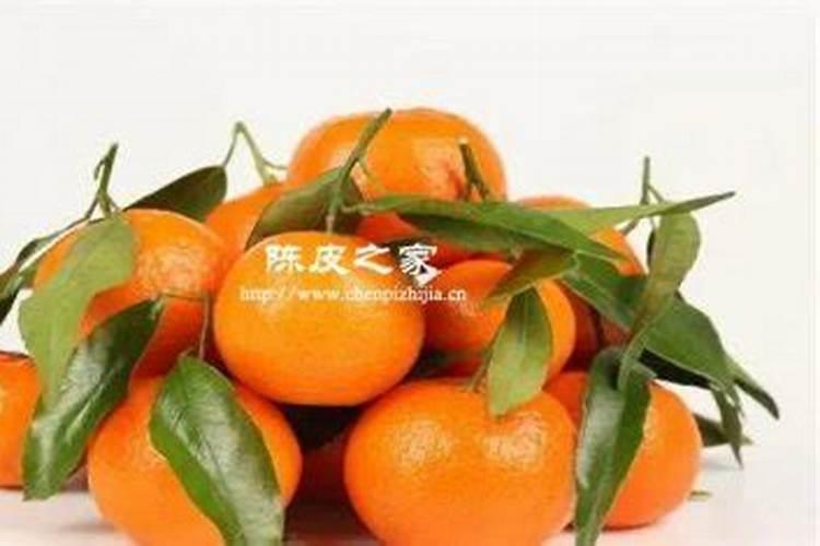 桔子施肥施什么肥最好