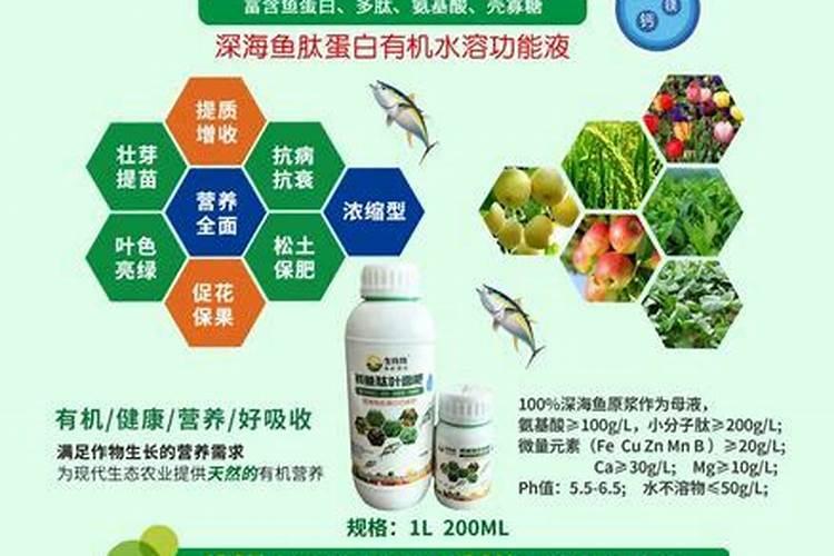 鱼蛋白水溶肥现在怎么用