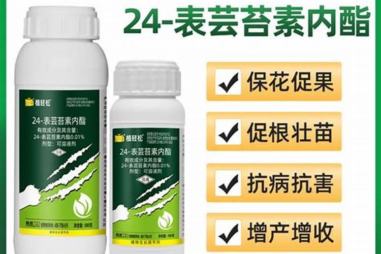 芸苔素使用禁忌有哪些 怎么使用比较好