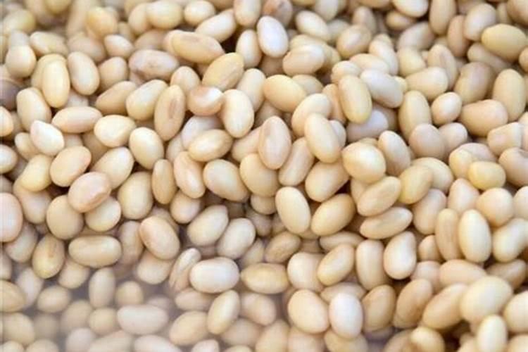 冬天自制钓海竿槽食饵料