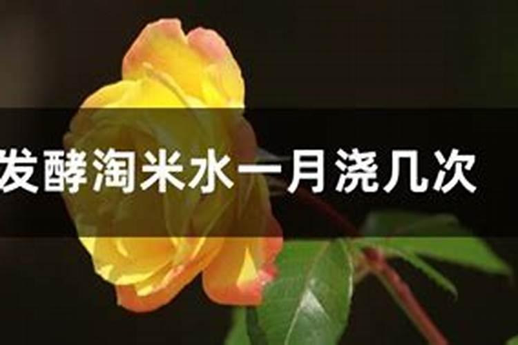 为什么辣椒不能用尿素施肥