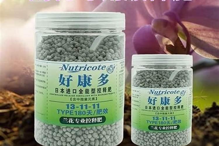 兰花使用什么肥料好