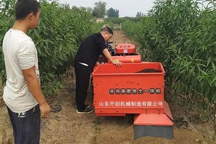 有机肥撒施和开沟哪个好