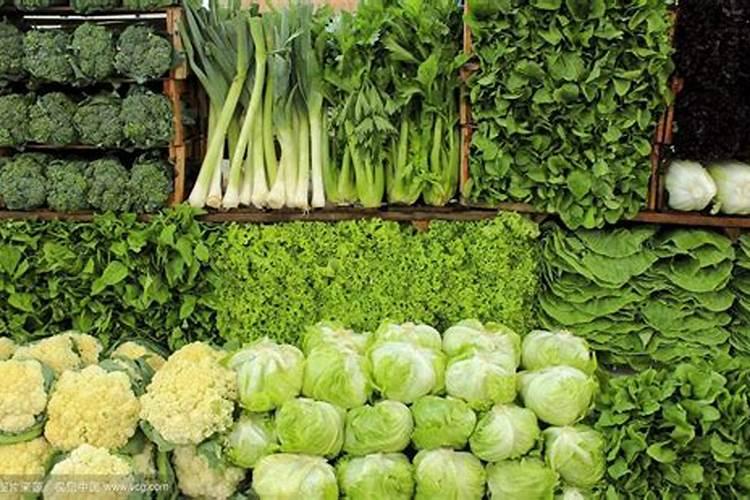 多肉夏天要不要施肥多肉施肥的最佳时间