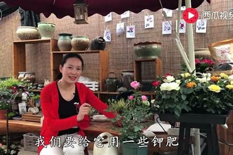 磷肥是什么原料做的
