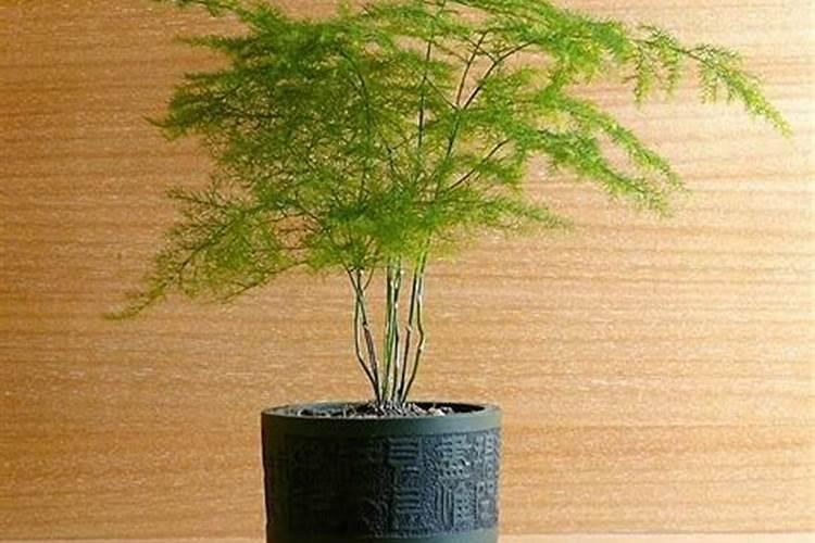 糖醇钙能和磷酸二氢钾一起用吗