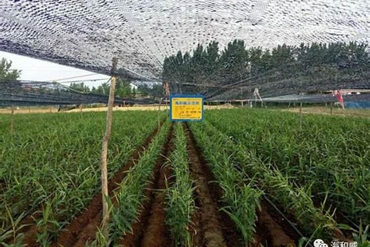 谁能说说,去时代乳业上班如何啊？