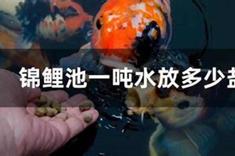 淡水小杂鱼和海鱼粉哪个好？