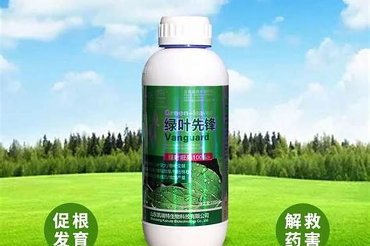 帮我看看这个肥料适合玫瑰不