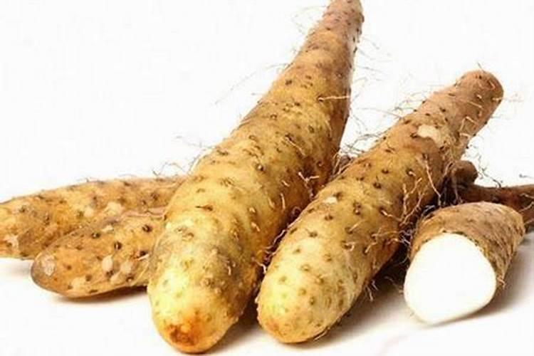 红薯的高产栽培技术