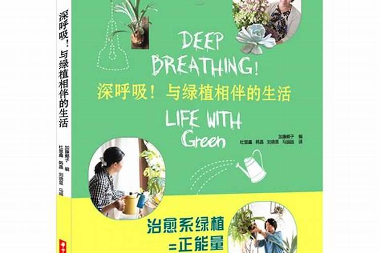 玉米叶斑病用什么药效果好