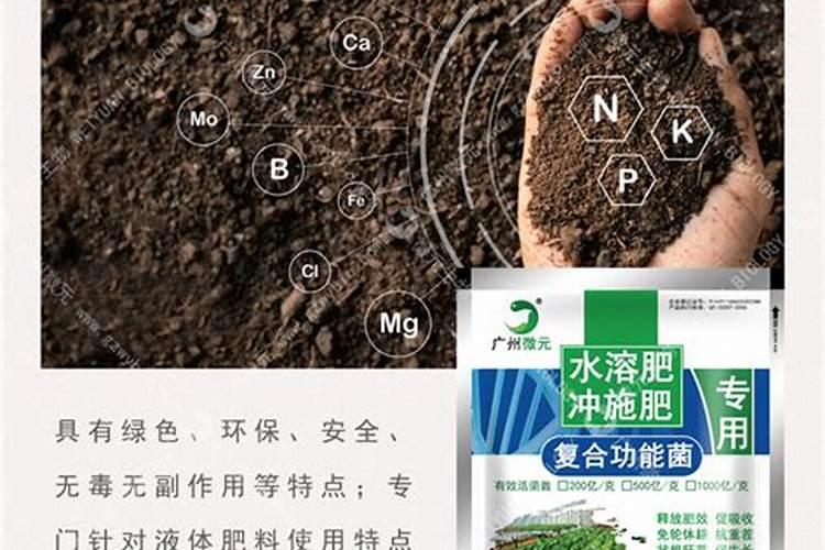 甜菜施肥用什么肥料