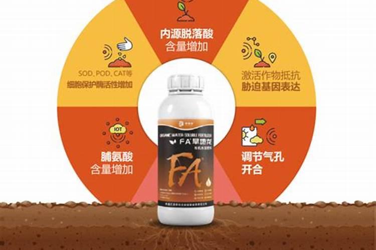 抗旱措施有哪些