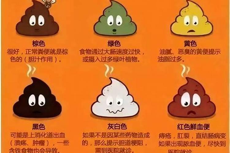 猪粪的利用价值 猪粪有什么用