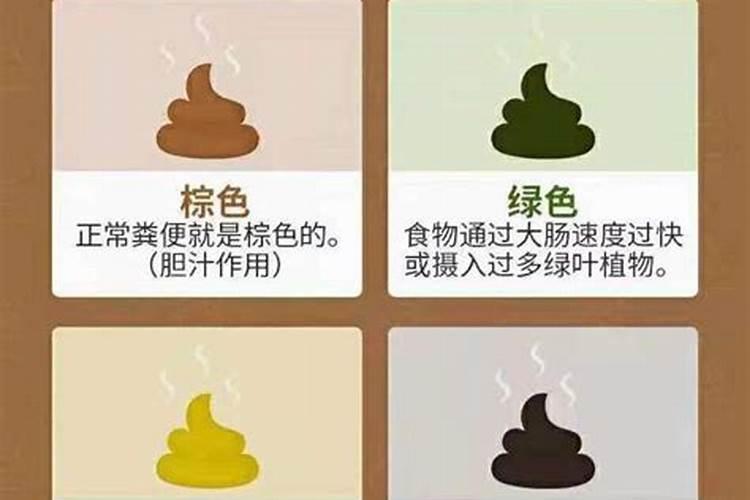 人屎有些什么营养成份？
