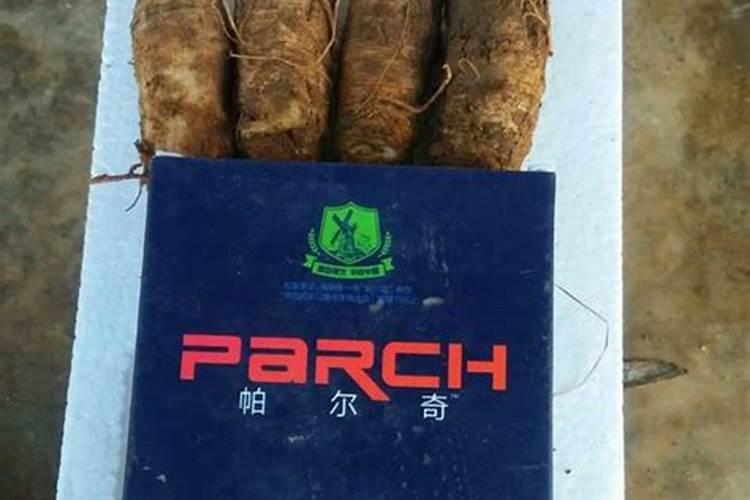白术种子繁殖栽培,有什么技术吗？