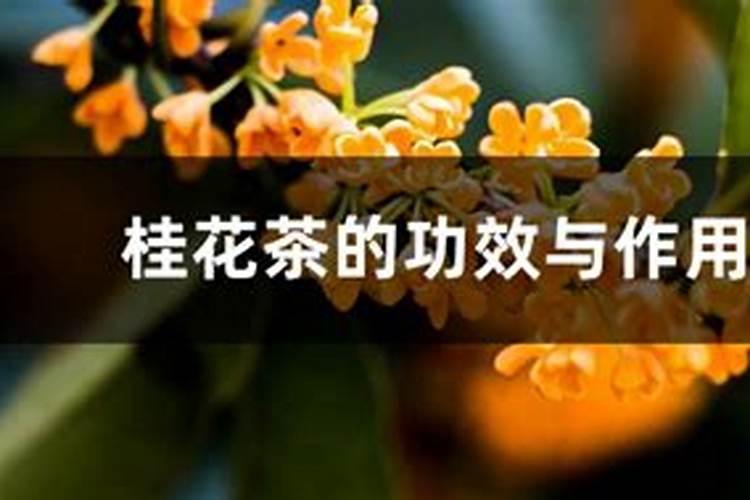 尿素哪个厂家生产好