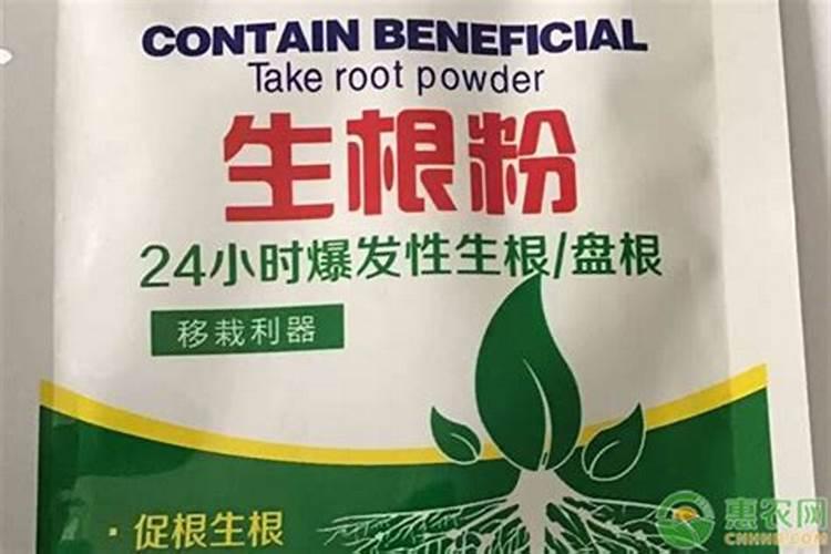 蒙力28能让果树生根吗